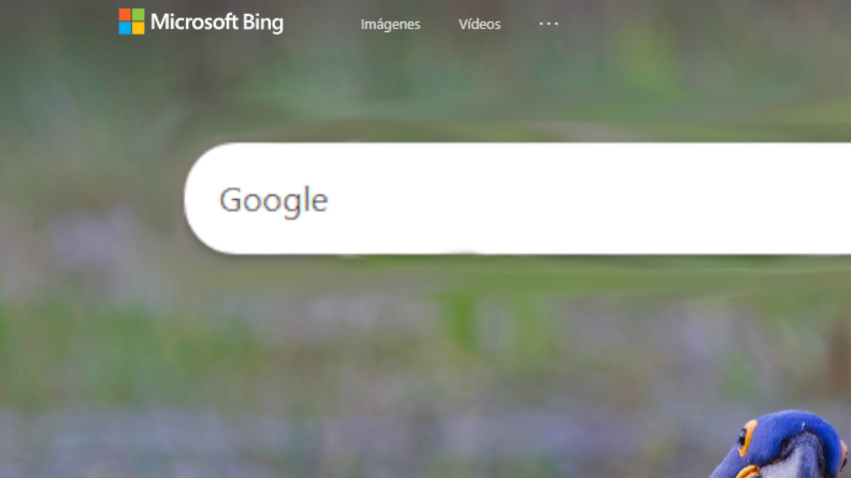 Google said: On the Bing search engine, the most searched word is Google thumbnail