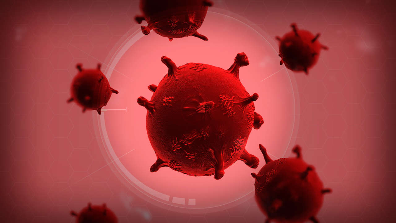 《瘟疫公司》新模式：阻止疾病傳播！ - Plague Inc. - Gamereactor