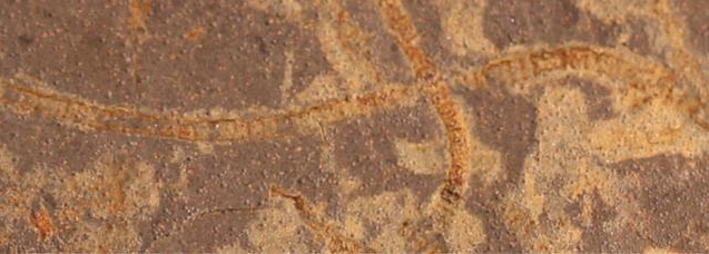 科學家發現比先前已知的光合作用生命存在了10億年的痕跡