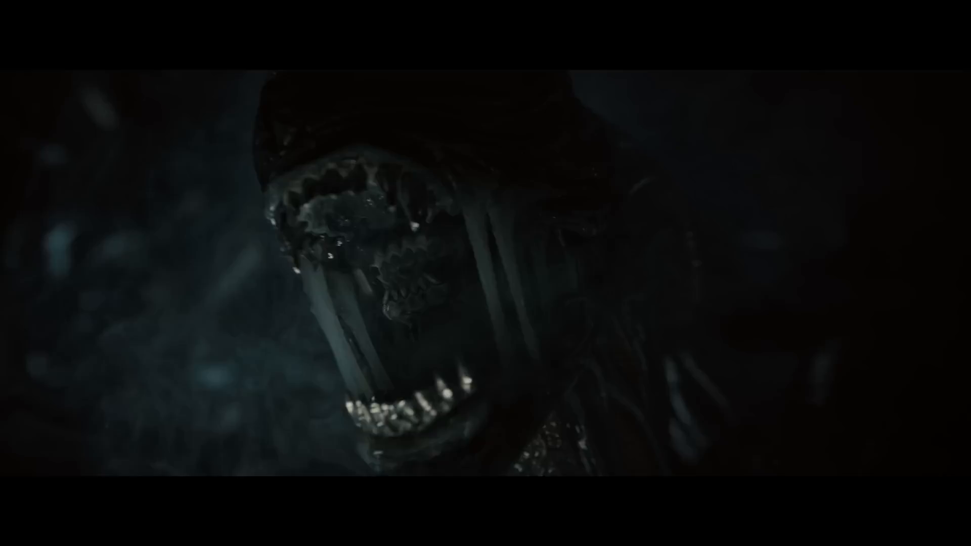 今年 10 月,您可以在舒適的家中觀看 Alien: Romulus