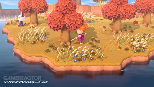 Animal Crossing: New Horizons