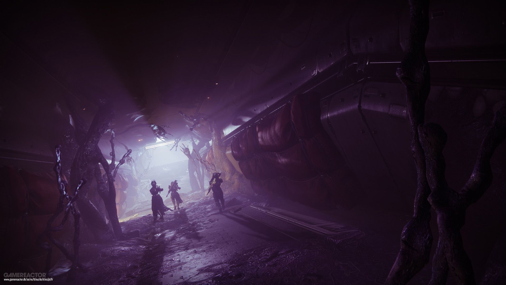 Destiny 2 Just Had A Night Of Nightmares Destiny 2 The Witch Queen 