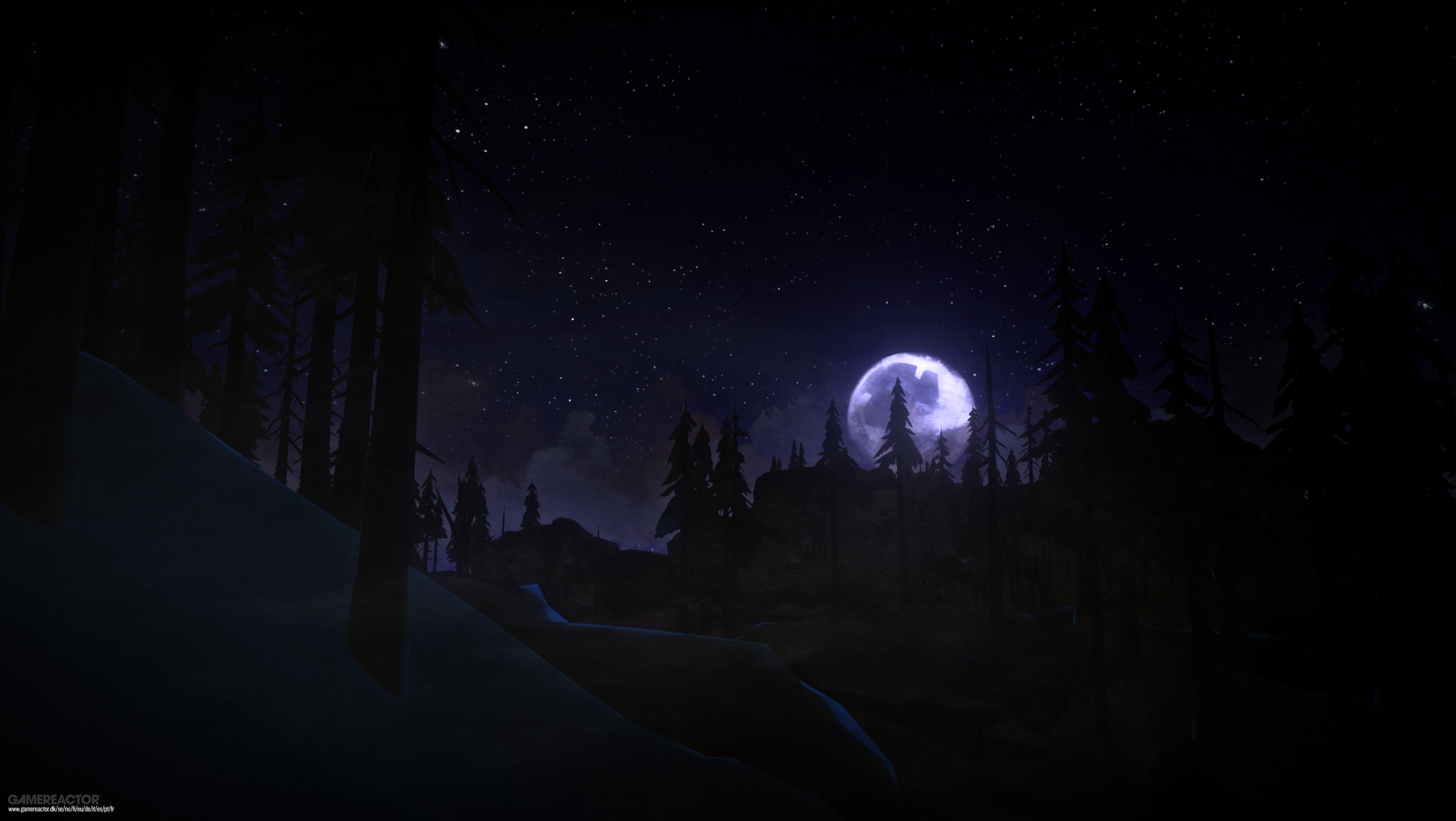 the long dark