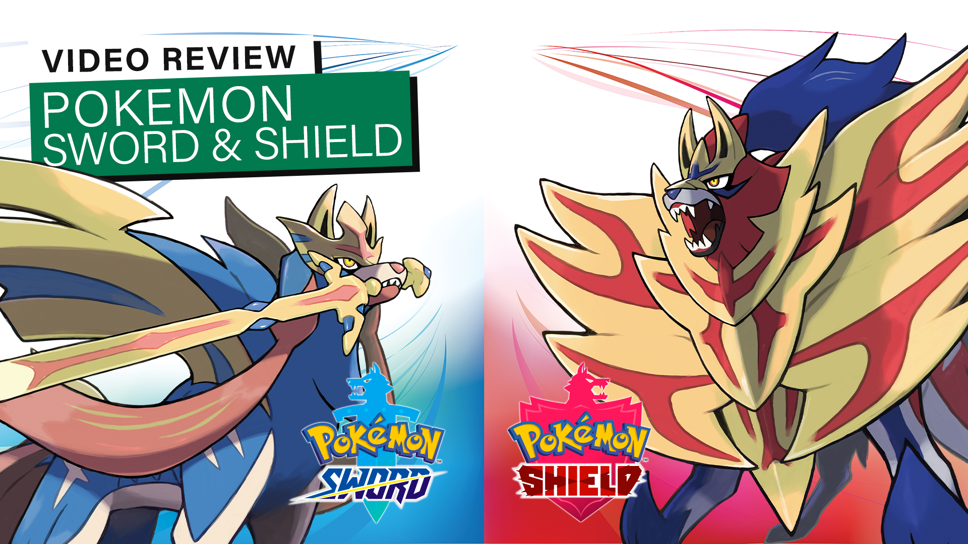 快瞧瞧我們為《寶可夢劍/盾》發布的評論影片! - Pokémon Sword/Shield - Gamereactor