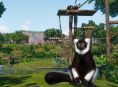 《動物園之星》將為玩家提供一家新的蛋糕店和一種新狐猴，歡慶祝兩週年紀念