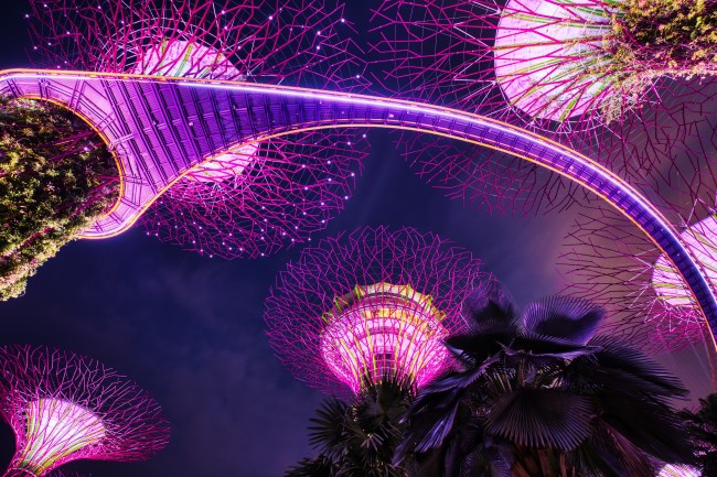 新加坡正在尋求承認電子競技為一項官方運動