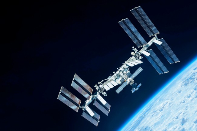 科學家將苔蘚送入太空真空......如今，他們透露它存活了283天