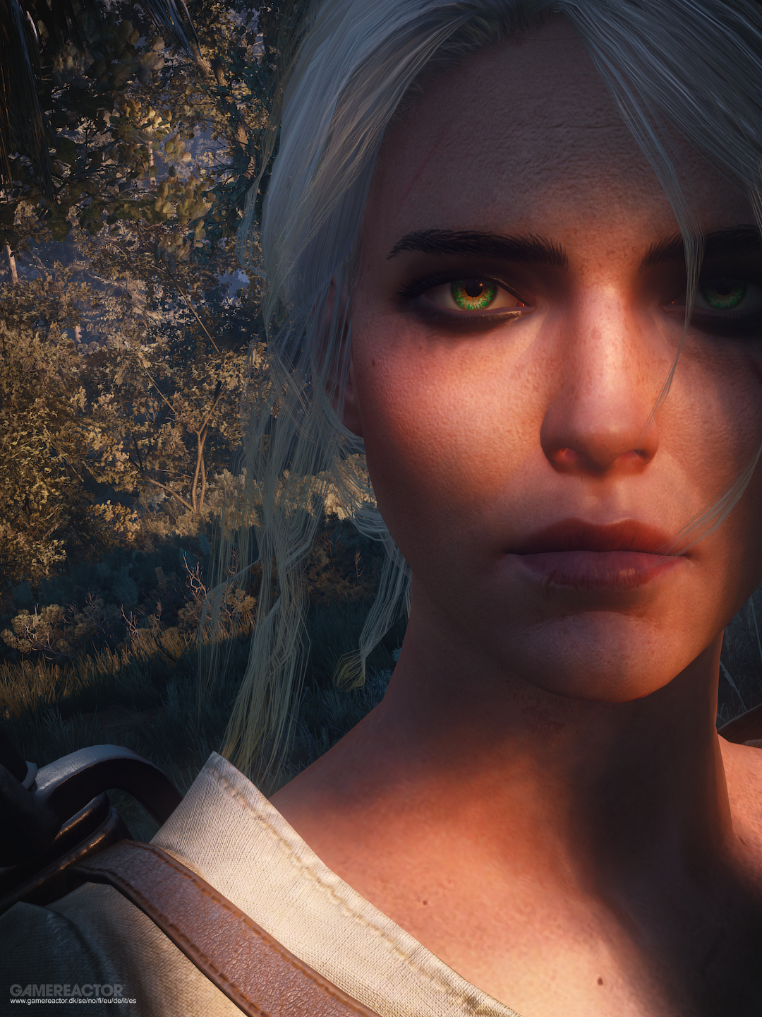 the witcher 3: wild hunt