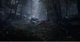 Related Image