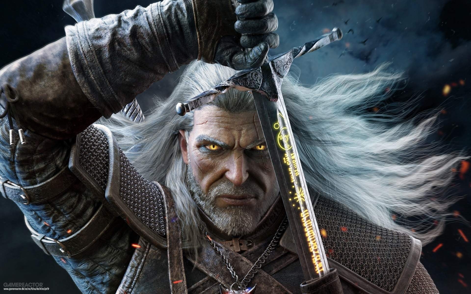 the witcher 3: wild hunt