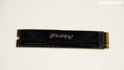 金士頓 Fury Renegade G5 NVMe